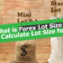 Forex lot size how to calculate lotsize