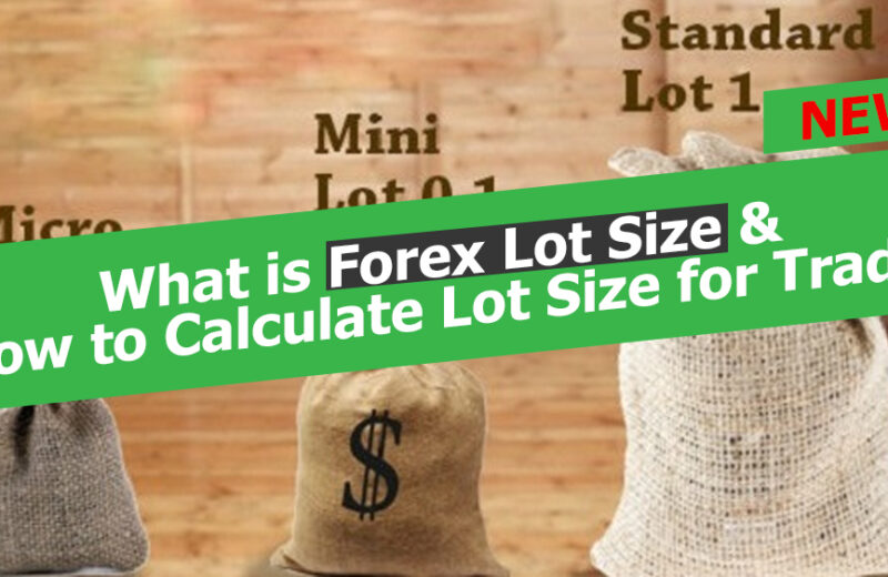 Forex lot size how to calculate lotsize
