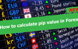 How To Calculate Pip Value In Forex