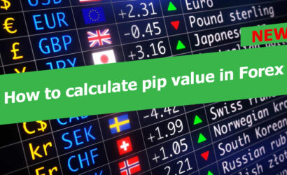 How to calculate pip value in Forex