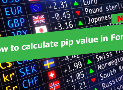 How to calculate pip value in Forex