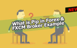 What Is Pip In Forex And How To Find It