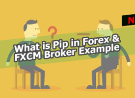 what is pip in forex