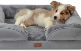 Tweed Dog Beds That You Must Buy