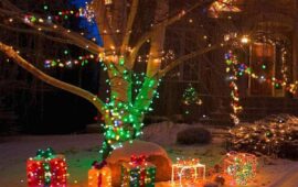 Best Ways To Use Outdoor Christmas Lights Ideas For Trees